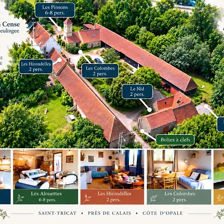 Apartment Le Nid Saint-Tricat